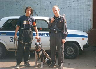 ������ Prise Argo Varvar Bull �������� ��� ���.