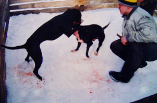 ������������ ��������������