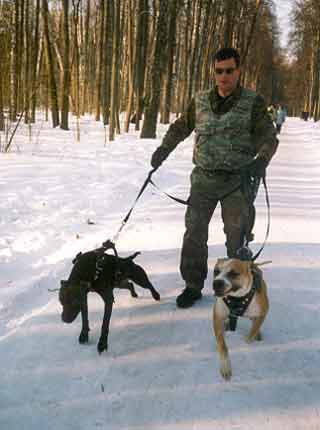 ������������ ��������������