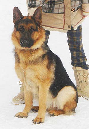 �������� ������� ����� ��� �������