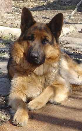 �������� ������� ����� ��� �������