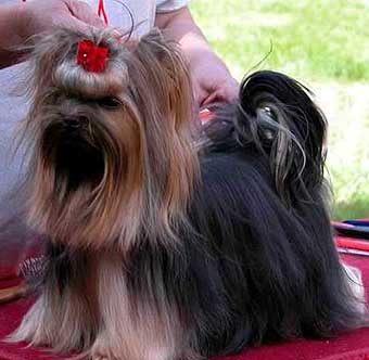 ����������� ������