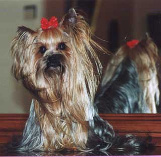 ����������� ������