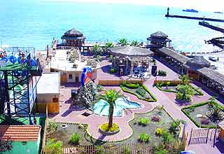 �������� � ���� - ������ �������