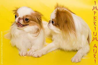 �������� ����