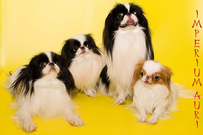 �������� ����