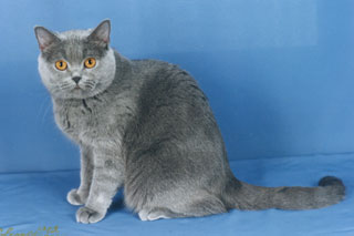 ���������� ��� Martin.