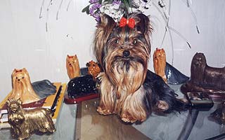 ����������� ������ ������ - 3 ����, ��� 1,7 ��.