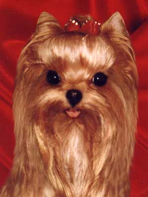 ����������� ������.