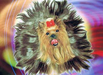 ����������� ������.