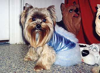 ����������� ������.