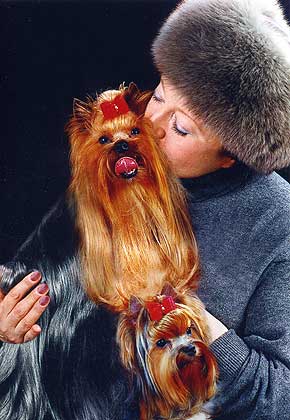 ��������� ��� ����-�������, �������-������� ��������� ������� �������������.