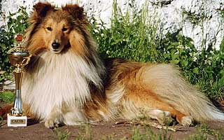 ����� �������� �������� ������