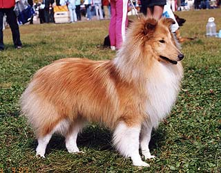 ����� ����� ������� ������