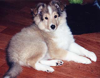 ����� ����� �� ���� 2 ������