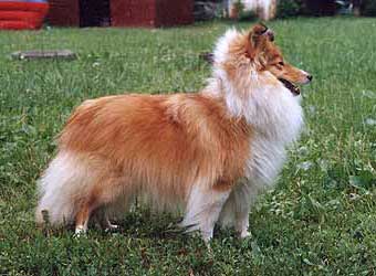 ����� �� ���� 1,5 ����