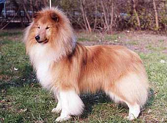 ����� ����� ������� ������