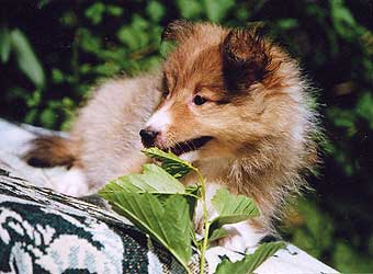 ����� ����� ���� ���� � ����