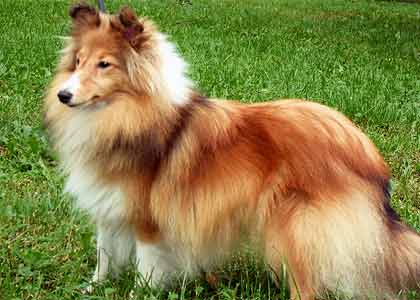 ����� ������� ������ ������