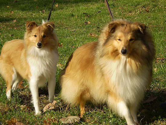 ����� ����� � ����