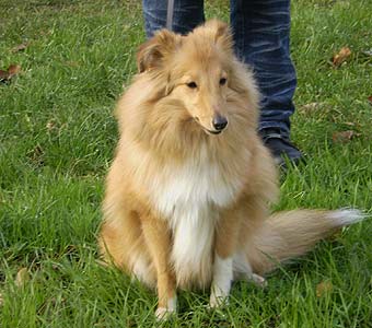 ����� �����