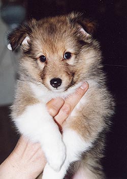 ����� ����� �� ���� 1�����