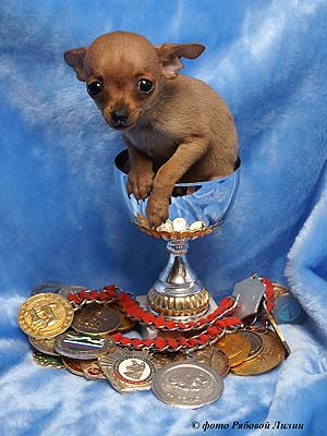 ������� ��� �����.