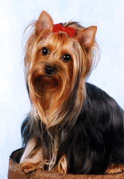 ��������� �� ���� ����� (�����)