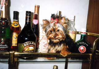 ����� (5 �������).