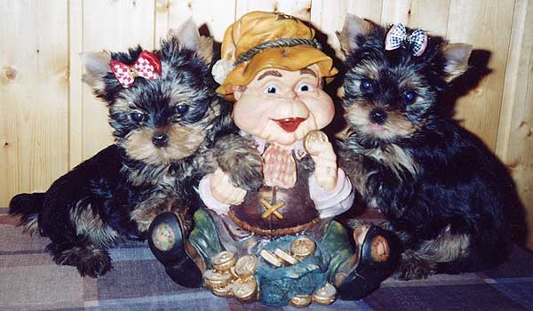 ����� ������������ ������� 2,5 ������