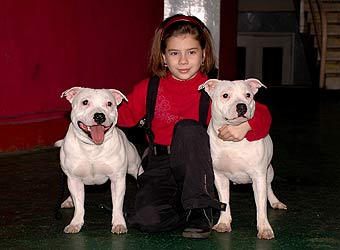 ��������������� ����������.