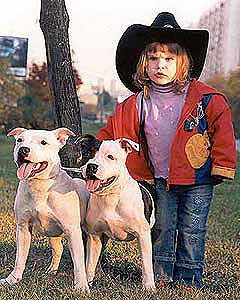 ��������������� ����������.