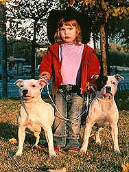 ��������������� ����������.