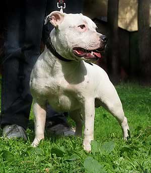 ��������������� ����������.