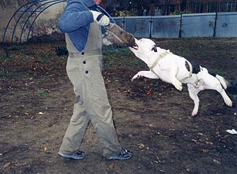 ��������������� ����������.