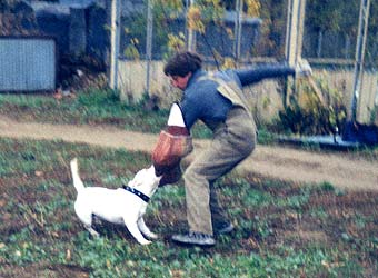 ��������������� ����������.