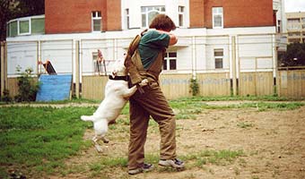 ��������������� ����������.