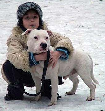 ��������������� ����������.