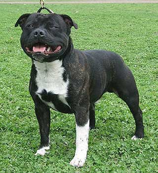 ��������������� ����������.