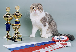 ����������� ��������� �����.