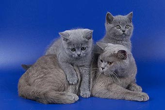 ���������� ������.