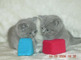 ���������� ������.