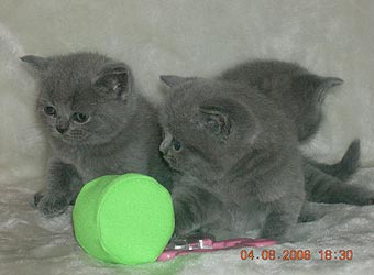 ���������� ������.