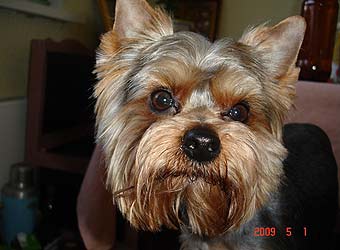 ������� �����.