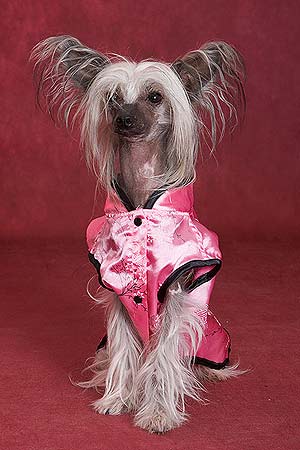 ������� �����.