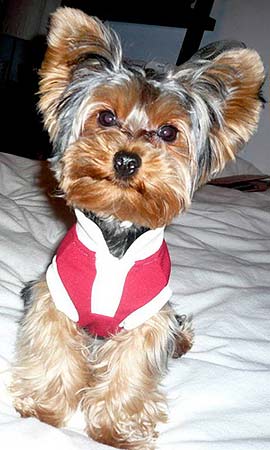 ������� �����.