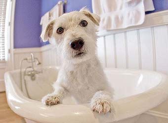 ������� �����.