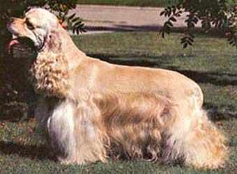 ������� �����.