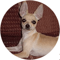 ������� ���