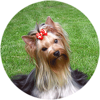 ����������� ������